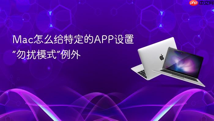 mac怎么给特定的app设置“勿扰模式”例外