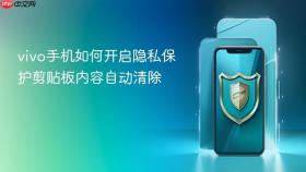 vivo手机如何开启隐私保护剪贴板内容自动清除