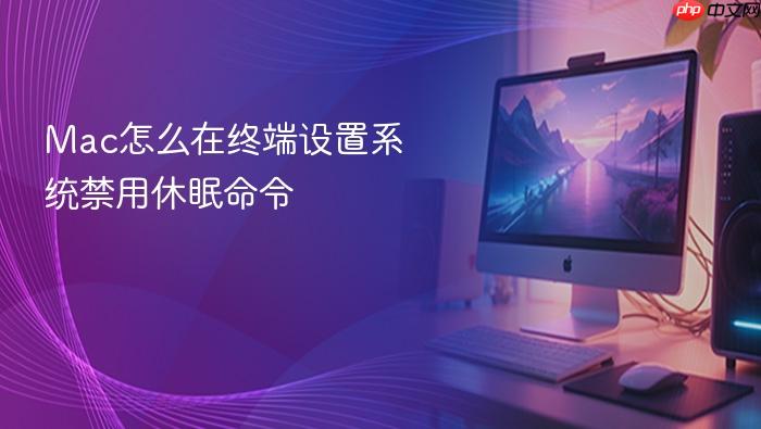 mac怎么在终端设置系统禁用休眠命令
