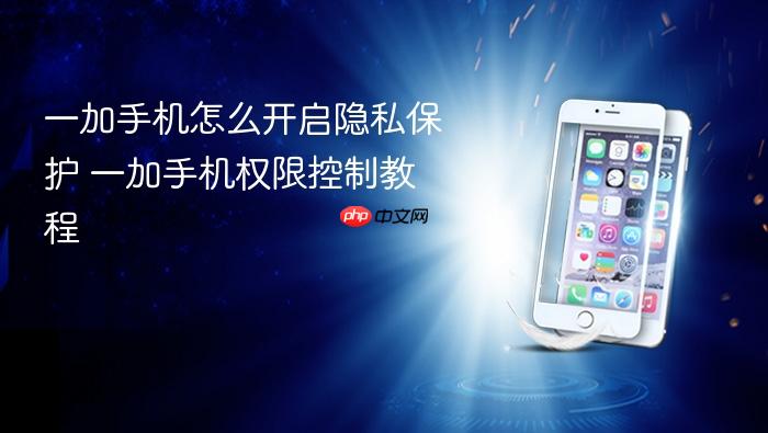 一加手机怎么开启隐私保护 一加手机权限控制教程
