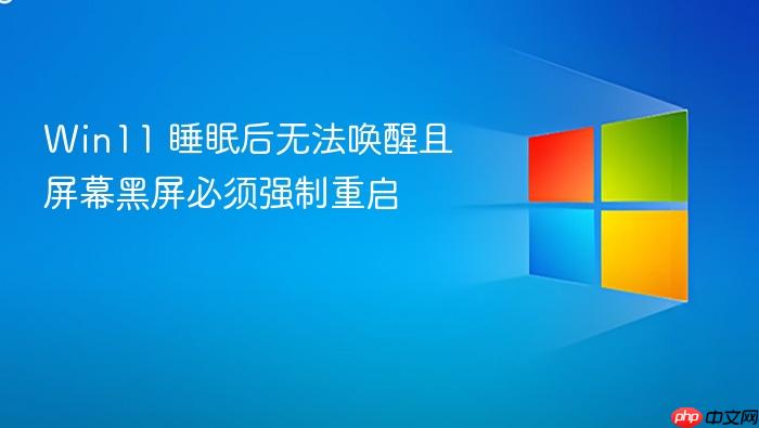 win11 睡眠后无法唤醒且屏幕黑屏必须强制重启