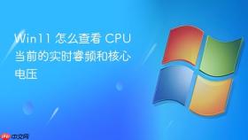 win11 怎么查看 cpu 当前的实时睿频和核心电压