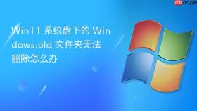 Win11 系统盘下的 Windows.old 文件夹无法删除怎么办