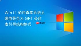 Win11 如何查看系统主硬盘是否为 GPT 分区表引导结构格式