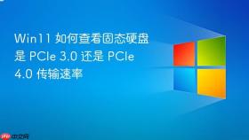 win11 如何查看固态硬盘是 pcie 3.0 还是 pcie 4.0 传输速率