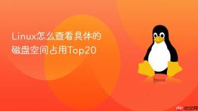linux怎么查看具体的磁盘空间占用top20