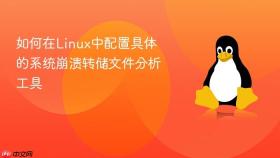 如何在linux中配置具体的系统崩溃转储文件分析工具