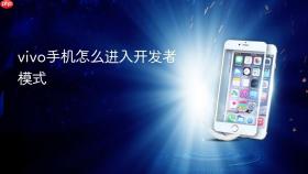 vivo手机怎么进入开发者模式