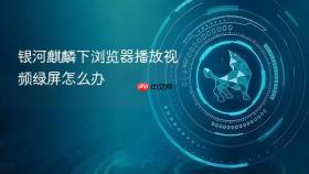 银河麒麟下浏览器播放视频绿屏怎么办
