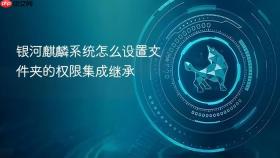 银河麒麟系统怎么设置文件夹的权限集成继承