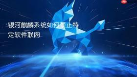 银河麒麟系统如何禁止特定软件联网