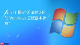 win11 提示“无法验证你的 windows 正版副本状态”