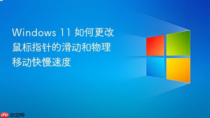 windows 11 如何更改鼠标指针的滑动和物理移动快慢速度
