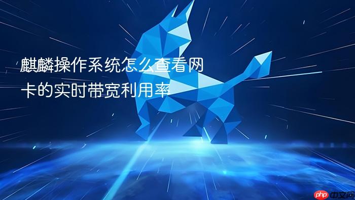 麒麟操作系统怎么查看网卡的实时带宽利用率