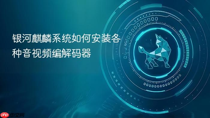 银河麒麟系统如何安装各种音视频编解码器