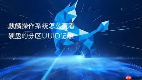 麒麟操作系统怎么查看硬盘的分区uuid记录