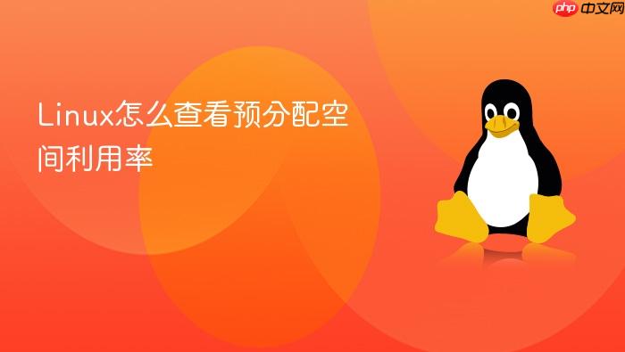linux怎么查看预分配空间利用率