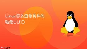 linux怎么查看具体的磁盘uuid