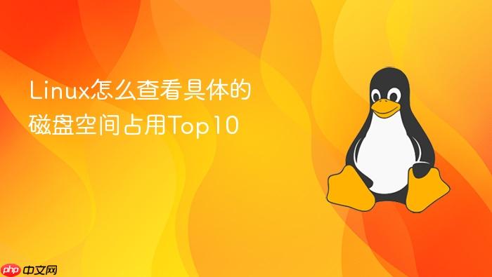 linux怎么查看具体的磁盘空间占用top10