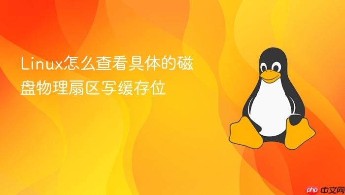 linux怎么查看具体的磁盘物理扇区写缓存位