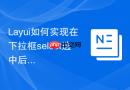 Layui如何实现在下拉框select选中后自动触发Ajax查询