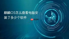 麒麟os怎么查看电脑安装了多少个软件