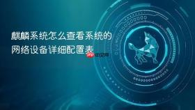 麒麟系统怎么查看系统的网络设备详细配置表