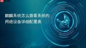 麒麟系统怎么查看系统的网络设备详细配置表