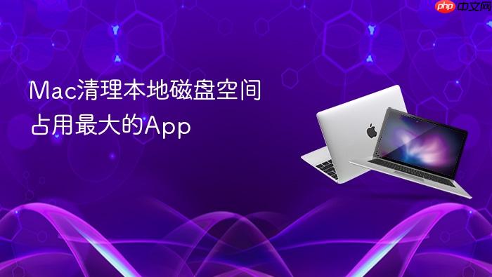 mac清理本地磁盘空间占用最大的app