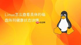Linux怎么查看具体的磁盘阵列健康状态详情