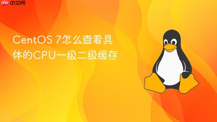 centos 7怎么查看具体的cpu一级二级缓存