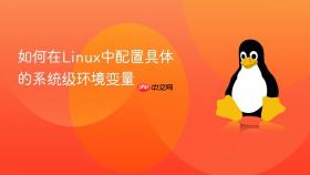 如何在linux中配置具体的系统级环境变量
