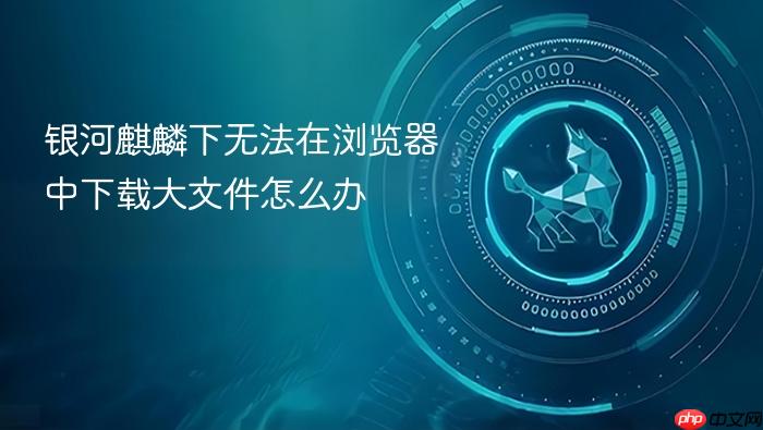 银河麒麟下无法在浏览器中下载大文件怎么办