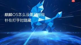 麒麟os怎么设置鼠标指针在打字时隐藏