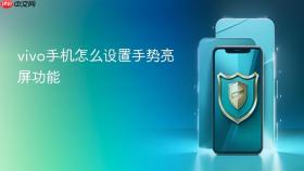 vivo手机怎么设置手势亮屏功能