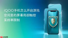 iqoo手机怎么开启游戏空间里的屏幕局部触控采样率限制