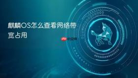 麒麟OS怎么查看网络带宽占用