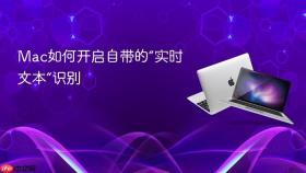 mac如何开启自带的“实时文本”识别
