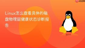 linux怎么查看具体的磁盘物理层健康状态诊断报告