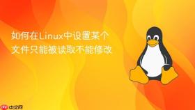 如何在linux中设置某个文件只能被读取不能修改