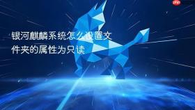 银河麒麟系统怎么设置文件夹的属性为只读