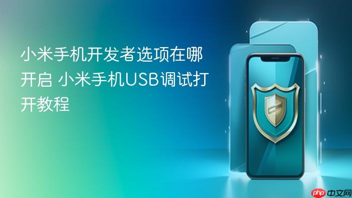 小米手机开发者选项在哪开启 小米手机usb调试打开教程