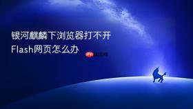 银河麒麟下浏览器打不开Flash网页怎么办