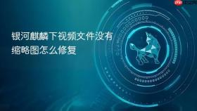 银河麒麟下视频文件没有缩略图怎么修复