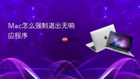 mac怎么强制退出无响应程序