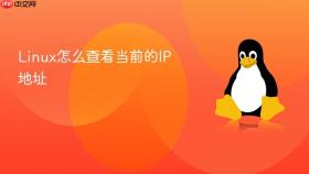 linux怎么查看当前的ip地址