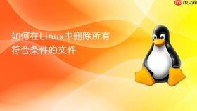 如何在Linux中删除所有符合条件的文件