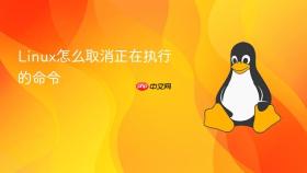 Linux怎么取消正在执行的命令