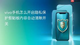 vivo手机怎么开启隐私保护剪贴板内容自动清除开关