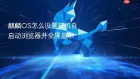 麒麟os怎么设置开机自启动浏览器并全屏显示